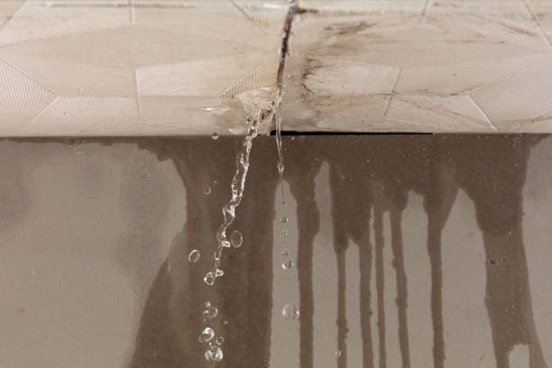 Professional Burst Pipe Cleanup technician working in Walterboro, SC